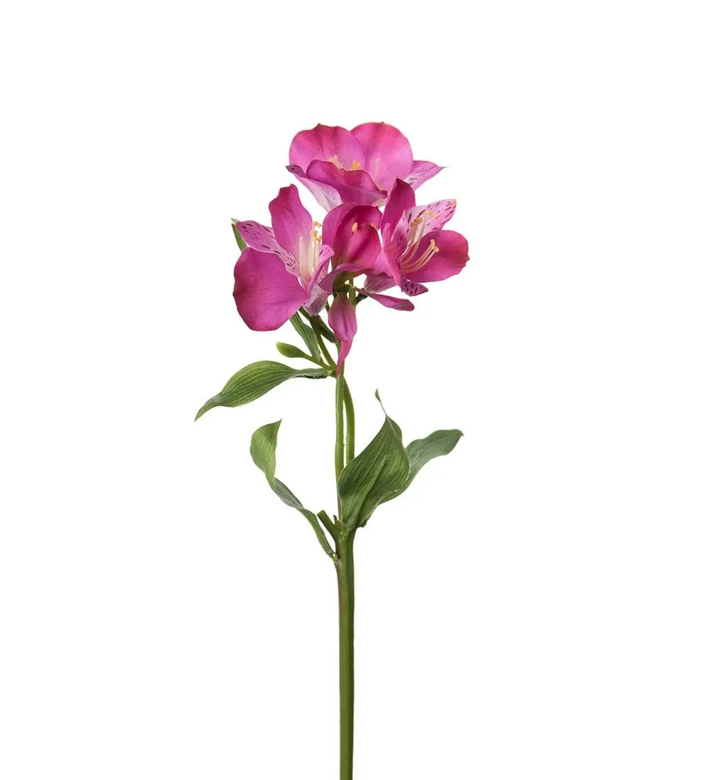 Alstromeria 34cm, Lila