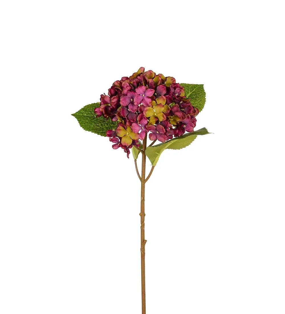Hortensia 40cm, Lila