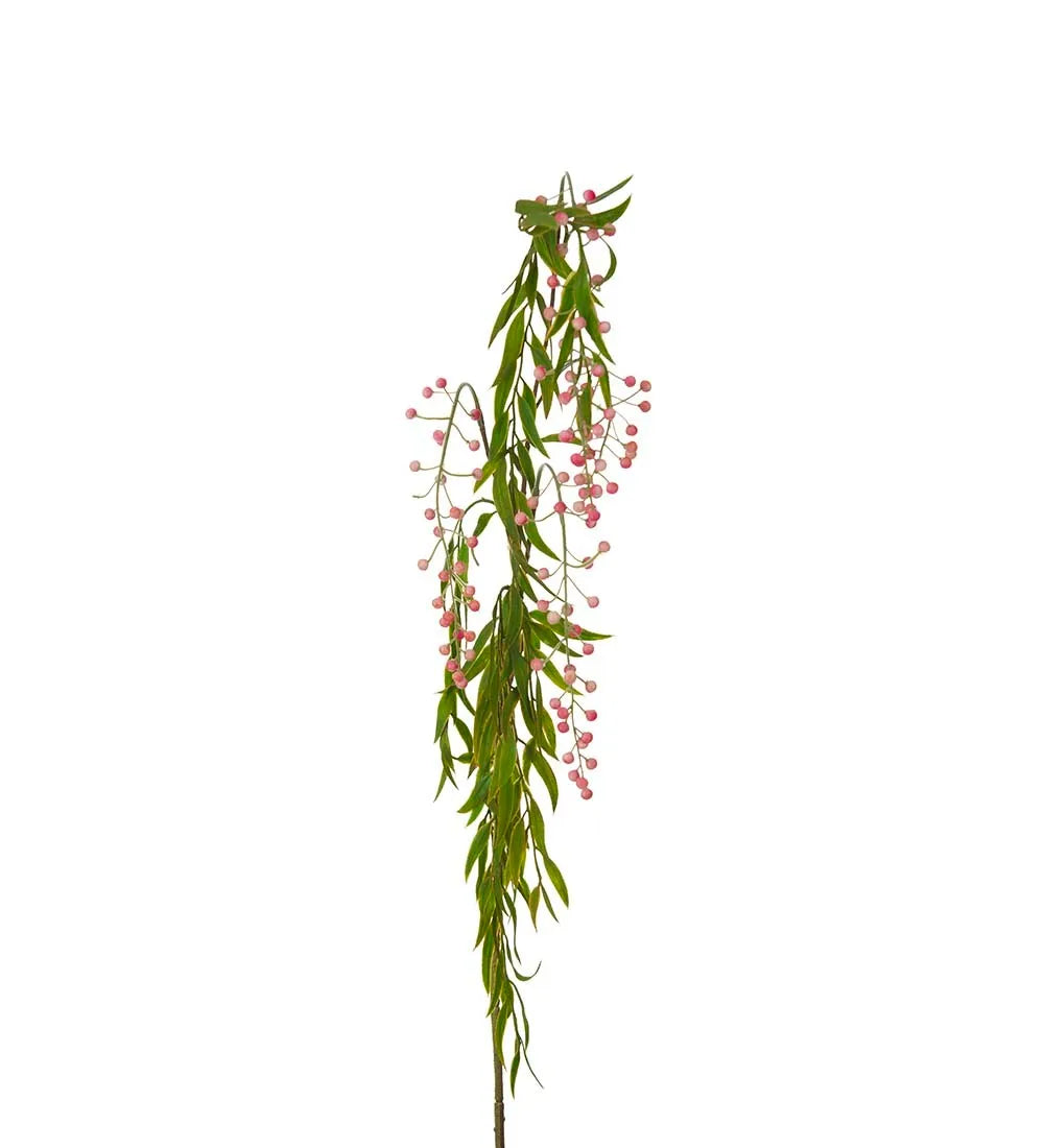 Bärkvist, Rosa