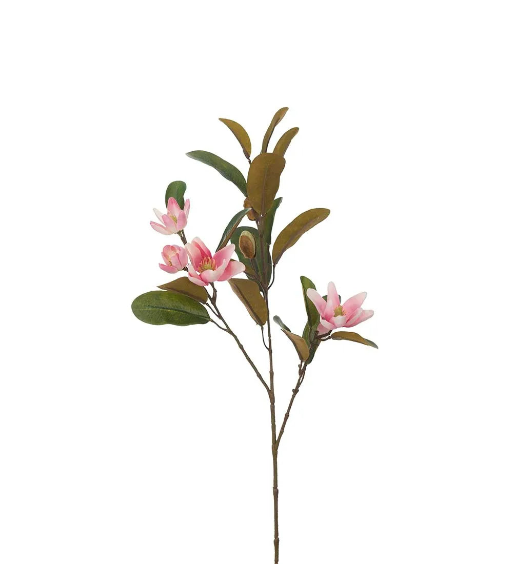 Magnolia 55cm, Rosa