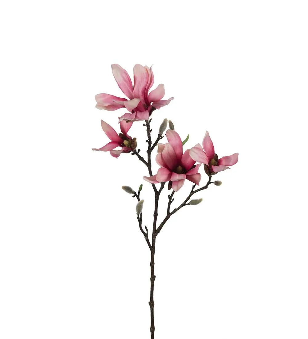Magnolia 50cm, Rosa